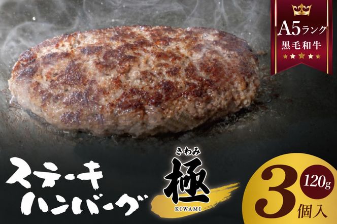 黒毛和牛　A5ランク　ステーキハンバーグ 極 120ｇ×3食入【埼玉県　春日部　国産　惣菜 冷凍　湯煎　レンジ調理　レンチン】（DH002）