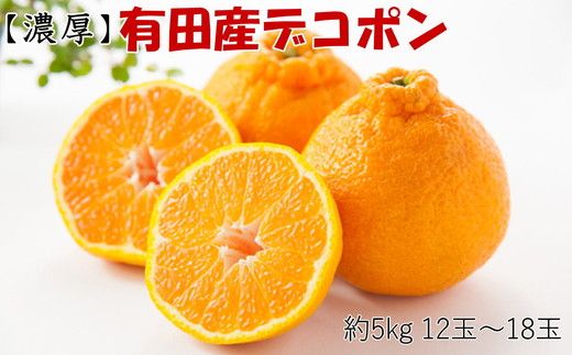 【先行予約】【お味濃厚】和歌山紀州有田産 大玉デコポン 約5kg（12～18玉・青秀以上）柑橘 不知火