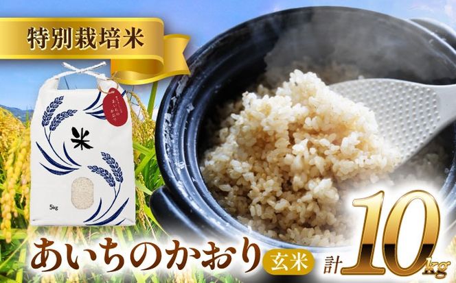 令和6年産　新米　愛知県産あいちのかおり　玄米10kg　特別栽培米　お米　ご飯／戸典オペレーター[AECT027]