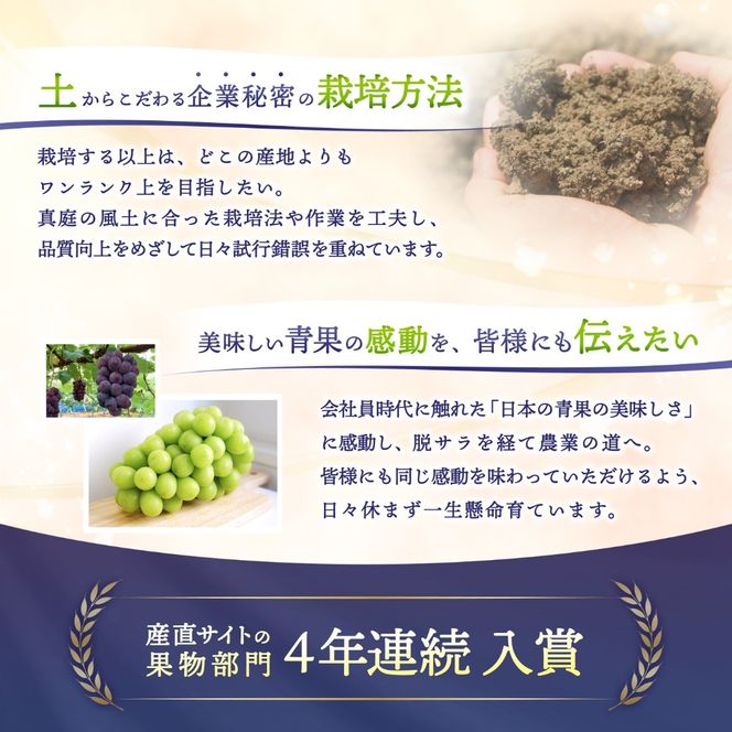 【2026年先行予約】 【訳あり】 Lino＆Kai Farmのシャインマスカット 3房前後(2kg前後）化粧箱入 ぶどう 岡山 真庭市 シャインマスカット 訳あり品 果物 産地直送 数量限定 種なし 【linokai013-01】