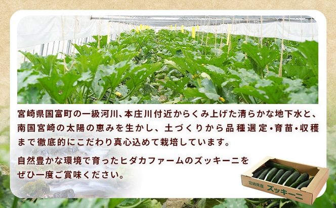 ＜野菜ソムリエサミット銀賞受賞！ あなたにズッキーニ約2kg（10本）＞翌月末迄に順次出荷【 野菜 青果 国産 生食 輪切り ソテー サラダ 天ぷら ラタトゥイユ 】【b0915_hf】