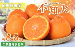 【ご家庭用訳あり】紀州有田産不知火(しらぬひ) 約8.5kg 【予約】　※2027年2月中旬頃〜2027年3月中旬頃に順次発送予定(お届け日指定不可)【uot507A】