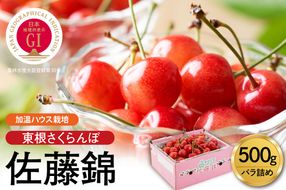 【2026年産 先行予約】超先取り！加温ハウス栽培 GI 「東根さくらんぼ」佐藤錦 500gバラ詰め JA園芸部提供 山形県 東根市 hi001-037