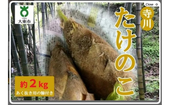 【2026年発送】＜30セット限定＞朝堀り！新鮮！「寺川城の越たけのこ」2kg 272183_CM02