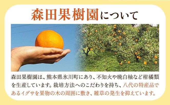 柑橘 柑橘定期便  森田果樹園 《12月上旬-4月末頃出荷》 熊本県 氷川町 柑橘 定期便 みかん スイートスプリング 晩白柚 不知火 八朔 果物 フルーツ 熊本県産---hkw_mtk_4_mo5---
