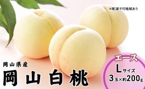 桃 2026年 先行予約 岡山 白桃 エース 3玉×200g（Lサイズ） 岡山県産 JAおかやまのもも  モモ 岡山県産 国産 フルーツ 果物 ギフト