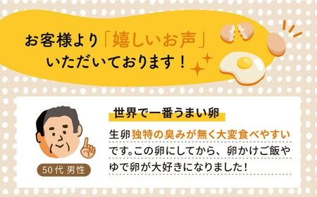 【プリップリな卵黄！】つまんでご卵 40個セット 卵 たまご 糸島 / 緑の農園 [AGA011] ランキング 上位 人気 おすすめ 生卵 鶏卵