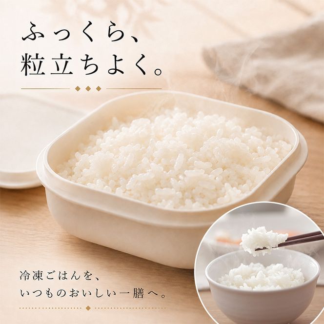 極 冷凍ごはん容器 容器 ご飯 冷凍 小分け 保存容器 食洗機対応 電子レンジ対応 お米保存容器 お弁当 洗いやすい レンジ可 キッチン 便利グッズ 墨田区 東京都