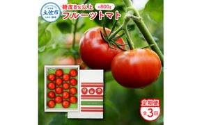 【全3回定期便】【先行予約】フルーツトマト （約800g）一箱12～20玉 〈2027年2月から配送開始〉先行予約 トマト 定期便 3ヶ月 とまと ふるーつとまと トマト とまと tomato 糖度8度以上 美味しい 高知県 土佐市【ファーム輝】 [BQBM005]