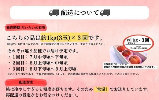 ◆2025年夏発送◆桃源の極み～産直・桃・約1kg×3回～ ｜ 先行予約 予約 数量限定 桃 もも モモ 果物 くだもの フルーツ 詰め合わせ 福島 ふくしま　※離島への配送不可　※2025年7月中旬～9月上旬頃に順次発送予定