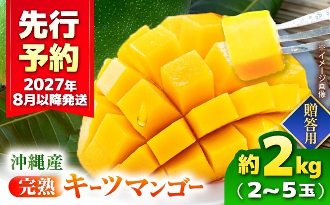 【先行予約】【2027年発送】 【贈答用】 沖縄県産キーツマンゴー 約2kg (2～5玉 / 化粧箱入り) マンゴー 沖縄 果物 フルーツ ギフト 沖縄市 / ちゃんぷる～市場  [BCAA006]