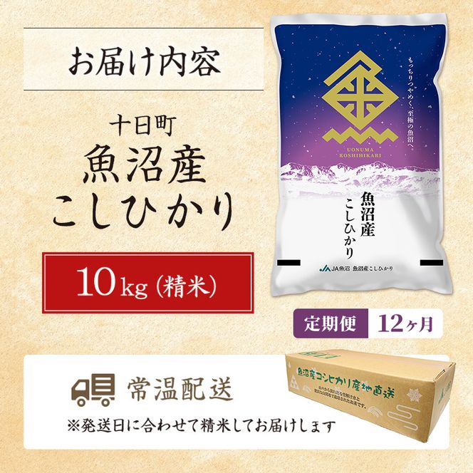 【12ヶ月定期便】魚沼産こしひかり(十日町地域) 精米 10kg(5kg×2) 米 お米 コシヒカリ 定期