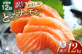 定期便 訳あり とろサーモン 刺身 5パック計1kg×12回 総計12kg 毎月 12回 定期 [たみこの海パック 宮城県 南三陸町 m304amh560077] サーモン 魚 魚介類 海鮮 さしみ 生食 鮭 さけ トラウト ハラミ トロ 冷凍 小分け