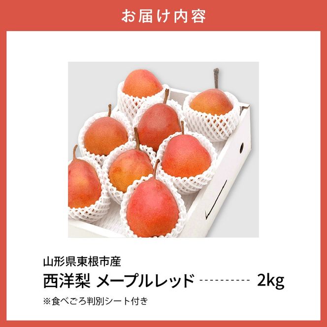 【令和6年産 先行予約】西洋梨メープルレッド2kg　秀品　化粧箱入り 山形県 東根市 東根農産センター提供 hi027-140