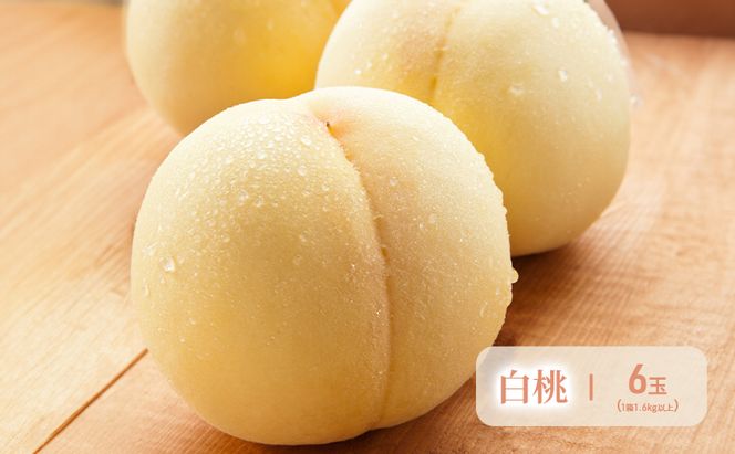 フルーツ 2026年 先行予約 晴れの国 岡山 の フルーツ 定期便 6回コース 岡山県産 桃 もも 葡萄 ぶどう 梨 なし 