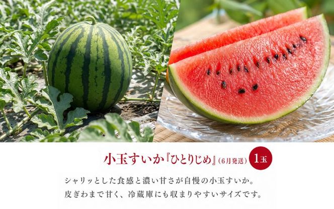 【定期便】【全3回】紀州和歌山産旬のフルーツ定期便（セミノール・スイカ・桃）【5月・6月・7月】【tkb453】 