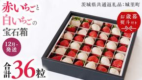【 お歳暮 熨斗付 】赤いちごと白いちごの宝石箱 36粒【12月から発送開始】（茨城県共通返礼品 [いちご]：城里町産） いちご 苺 イチゴ 白いちご 白イチゴ 宝石箱 [BI377-NT]