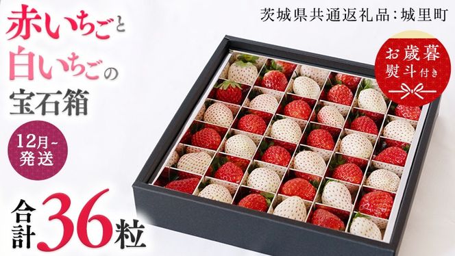 y錧΂݂炢szy Ε lt zԂƔ̕Δ 18y12甭Jnzi錧ʕԗi []F闢Yj   C`S  C`S Δ [BI377-NT]