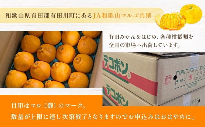 JA和歌山 マルゴ共撰 デコポン 24玉入り Lサイズ 5kg箱 CM02