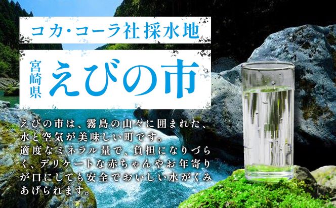 爽健美茶 2L PET【コカ・コーラ】ペットボトル 1ケース(6本)  セット お茶 カフェインゼロ ノンカフェイン ハトムギ ブレンド茶 宮崎県 えびの市 送料無料