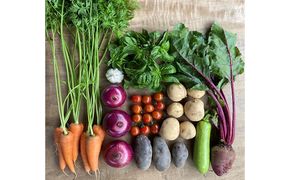 季節の野菜セット【栽培期間中　無農薬、無科学肥料】 野菜の詰め合わせ 旬の野菜 珍しい野菜 旬の食材 国産 日本産 おたのしみ 食べ物 食品 ベジタブル 春野菜 夏野菜 秋野菜 冬野菜 葉物 根菜 