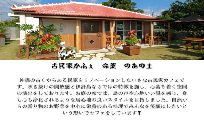 【ぬちぐすいvegan】島野菜＆薬草クッキー5種類詰め合わせ