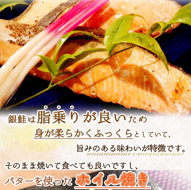 和歌山魚鶴仕込の甘口塩銀鮭切身１４切（２切×７パック　小分け）
※着日指定不可