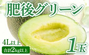熊本県八代市産 肥後グリーンメロン 4L以上 1玉 約2kg 果物 くだもの フルーツ 肥後グリーン メロン 青肉メロン