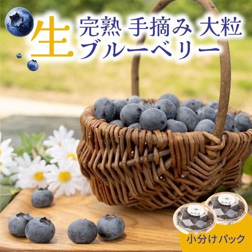 ymlz嗱u[x[i~bNX 125g×6pbN ʕ  t[c [Og W Y mY 2026N6{`8{ɏ\ kCEEւ̔zs