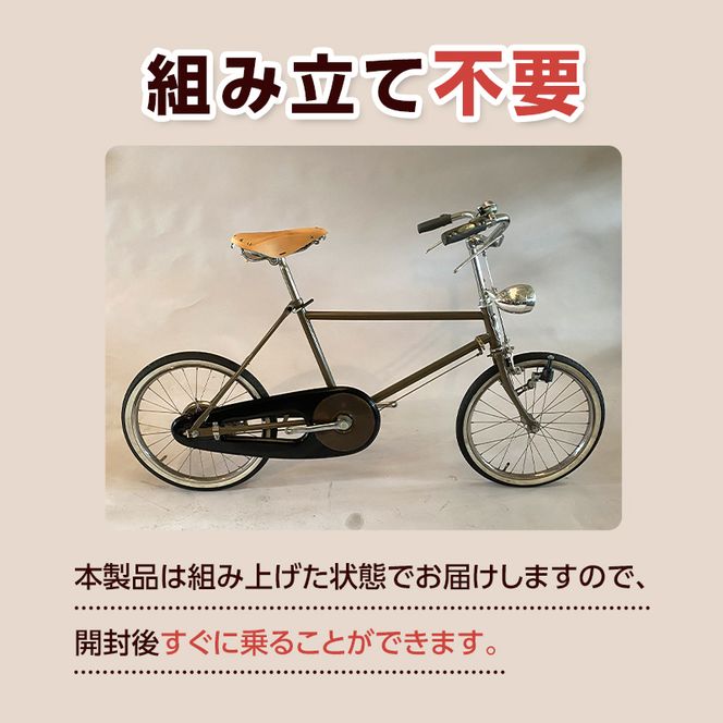 【完成品でお届け】 ポパイバイク Apollo (アポロ) (KPT-20) 自転車 組み立て済み