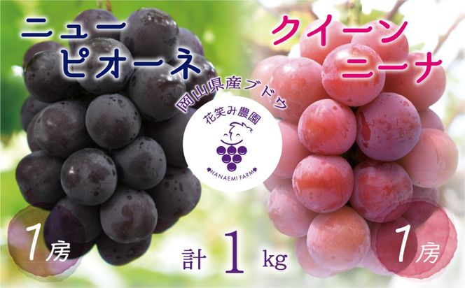 【2026年先行予約】岡山　花笑み農園『ニューピオーネ&クイーンニーナ』1kg(2房) / ぶどう 詰め合わせ 食べ比べ 真庭市【hana031-02】