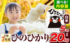 令和7年産  ひのひかり 白米 5kg 10kg 20kg 《7-14日以内に出荷予定(土日祝除く)》 熊本県産 白米 精米 氷川町 ひの 送料無料 ヒノヒカリ コメ 便利 ブランド米 お米 おこめ 熊本 SDGs---hkw_lcl_149_5kg---