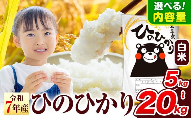 令和7年産  ひのひかり 白米 5kg 10kg 20kg 《7-14日以内に出荷予定(土日祝除く)》 熊本県産 白米 精米 氷川町 ひの 送料無料 ヒノヒカリ コメ 便利 ブランド米 お米 おこめ 熊本 SDGs---hkw_lcl_254_5kg---