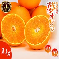 【先行予約】訳あり みかん職人の夢おれんじ 1kg 柑橘 果物 フルーツ 愛媛 みかん職人武田屋 蜜柑 愛果28号 愛媛果試第28号 まどんな オレンジ 大小ミックスサイズ 甘い 甘さ みかん かんきつ 柑橘 冬 旬 食べごろ 農家 農家直送 農園 人気 みかん職人 武田屋 産直 みかん職人武田屋 愛媛県 愛南町