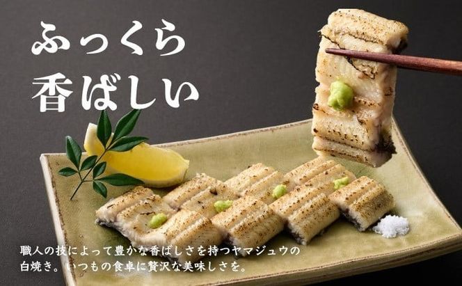 徳さんこだわりの手焼き白焼きうなぎ4尾 | 国産 高知県産 鰻 人気 おすすめ 冷凍 惣菜 しらやき うなぎ白焼き 高知県 室戸市 [yj037]	