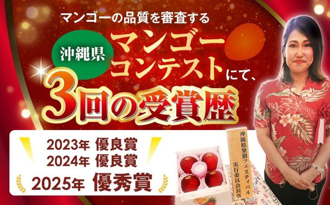 【優秀賞受賞】沖縄県産 完熟マンゴー 訳アリ 2kg (3〜5玉) マンゴー 沖縄 果物 フルーツ ギフト 沖縄市 / MAIFARM[BCAN004]