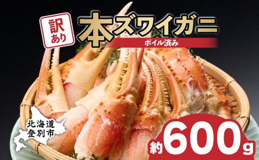 訳あり 冷凍 ボイル ずわいがに 爪 600gズワイガニ 【 本ズワイガニ 不揃い 規格外 カニクリームコロッケ 蟹爪 ボイル済み むきやすい 定期便 3回 お届け 不揃い ギフト 2026】
