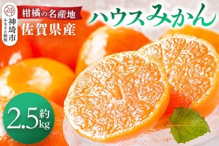 【先行受付 令和8年6月より発送開始】佐賀県産『ハウスみかん』約2500g【果物 フルーツ みかん 柑橘 ビタミン デザート ふるさと納税】(H108115)