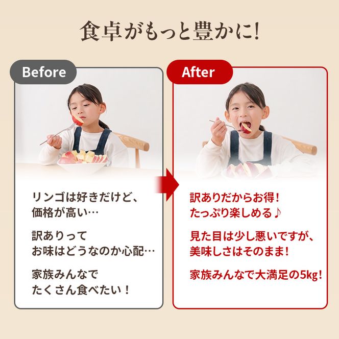 りんご 訳あり 3kg 果物 フルーツ わけあり 不揃い 規格外 ご家庭用 宮城県 大河原町 産地直送 林檎 リンゴ くだもの 先行予約 送料無料