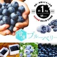 ブルーベリー【冷凍ブルーベリー（Mサイズ）１kg　贈答品】冷凍 完熟 果物 トッピング ヨーグルト 信州 長野