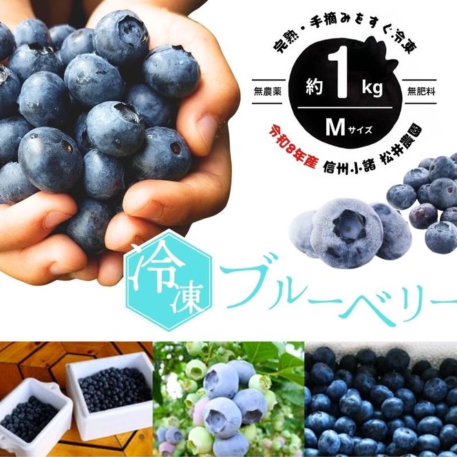 ブルーベリー【冷凍ブルーベリー（Mサイズ）１kg　贈答品】冷凍 完熟 果物 トッピング ヨーグルト 信州 長野