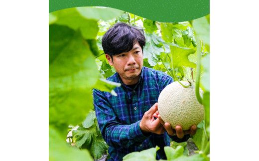 【CF-R7hbk】SKS024　緊急支援　高知県産 高級マスクメロン（ご家庭用）2玉入〈南国市共通返礼品〉【発送期間：4月～12月（9カ月）】【1月～3月は気候温度不安定の為出荷不可となります。】