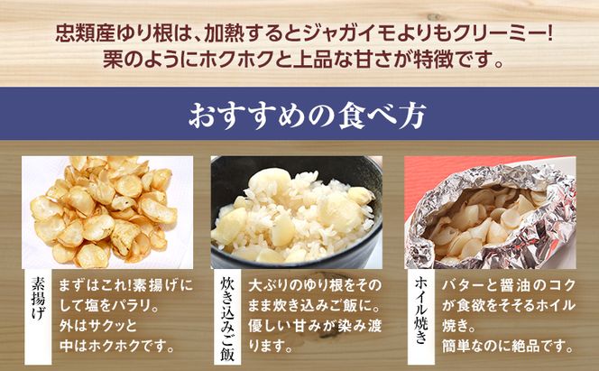 2026年10月発送 先行予約 十勝「忠類ゆり根」1kg (7～12玉) M～2L［JA忠類］【 ゆり根 百合根 高級食材 お正月 贈答 ギフト 根菜 冬の味覚 北海道 幕別 】