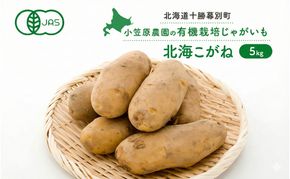 小笠原農園の有機じゃがいも「北海こがね」5kg 北海道 十勝 幕別 《2026年秋出荷先行予約》【  野菜 芋 じゃがいも 北海こがね 】