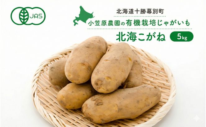 小笠原農園の有機じゃがいも「北海こがね」5kg 北海道 十勝 幕別 《2026年秋出荷先行予約》【  野菜 芋 じゃがいも 北海こがね 】