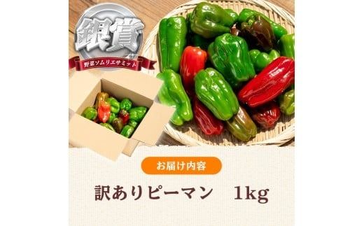 志布志産訳ありピーマン(1kg) p5-050