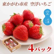 空浮いちご 4パック「北海道・沖縄・離島へのお届け不可」 果物 フルーツ 香川県産 ハウス育ち デザート おやつ 食後 お菓子作り ケーキ作り 