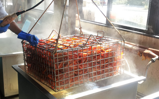 【特選 釜茹で 松葉ガニ 1匹（約800g～900g）冷蔵】 香住で水揚げされた新鮮な松葉ガニを熟練の職人が茹で上げます。水揚げ当日に茹でたてを発送します。カニの本場 香住 新鮮 国産 鍋 かにすき 脚 足 爪 身 肩 大人気 ふるさと納税 兵庫県 香美町 香住 柴山 ズワイガニ 宿院商店 100000円 33-28