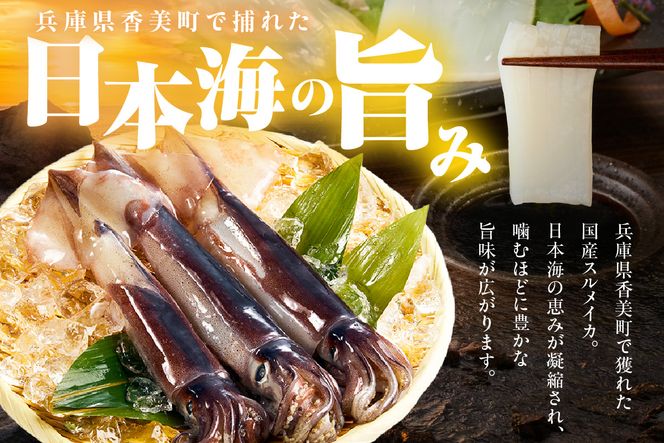 【スルメイカ たっぷり約1kg サイズ不揃い】冷凍 訳あり 国産 バラ凍結 産地直送 鮮度抜群 いか イカ するめいか スルメイカ 刺身 使いやすい 便利 大人気 ふるさと納税 返礼品 香美町 香住 山米鮮魚 12000円 74-17