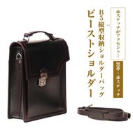 本革仕様のＢ５縦型収納ショルダーバッグ【ビートルショルダー（黒革・赤ステッチ）】